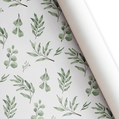 Бумага подарочная "Ботаника" / листы