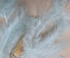 Перья, Мятный, 12-15 см, 50 шт.